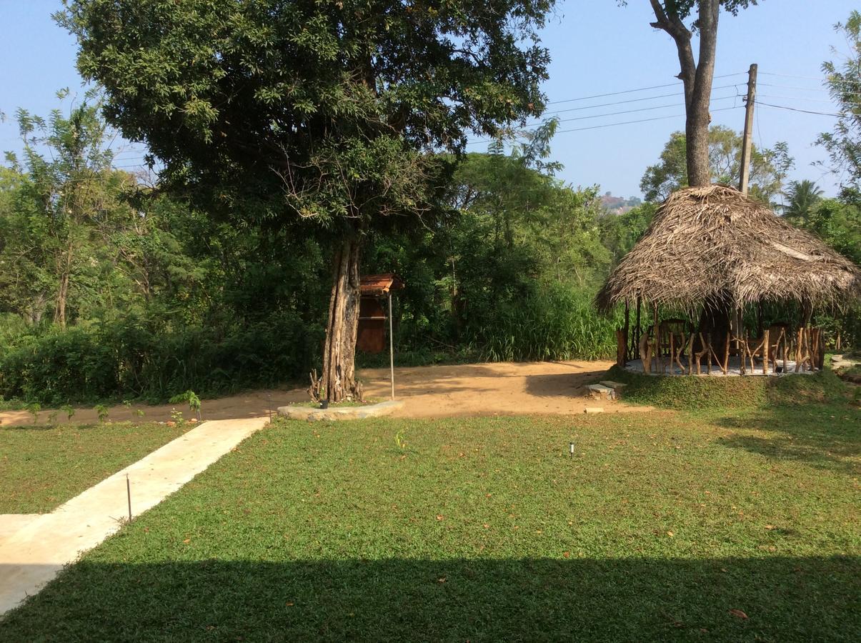Hotel Sigiriya Rock Hide Extérieur photo