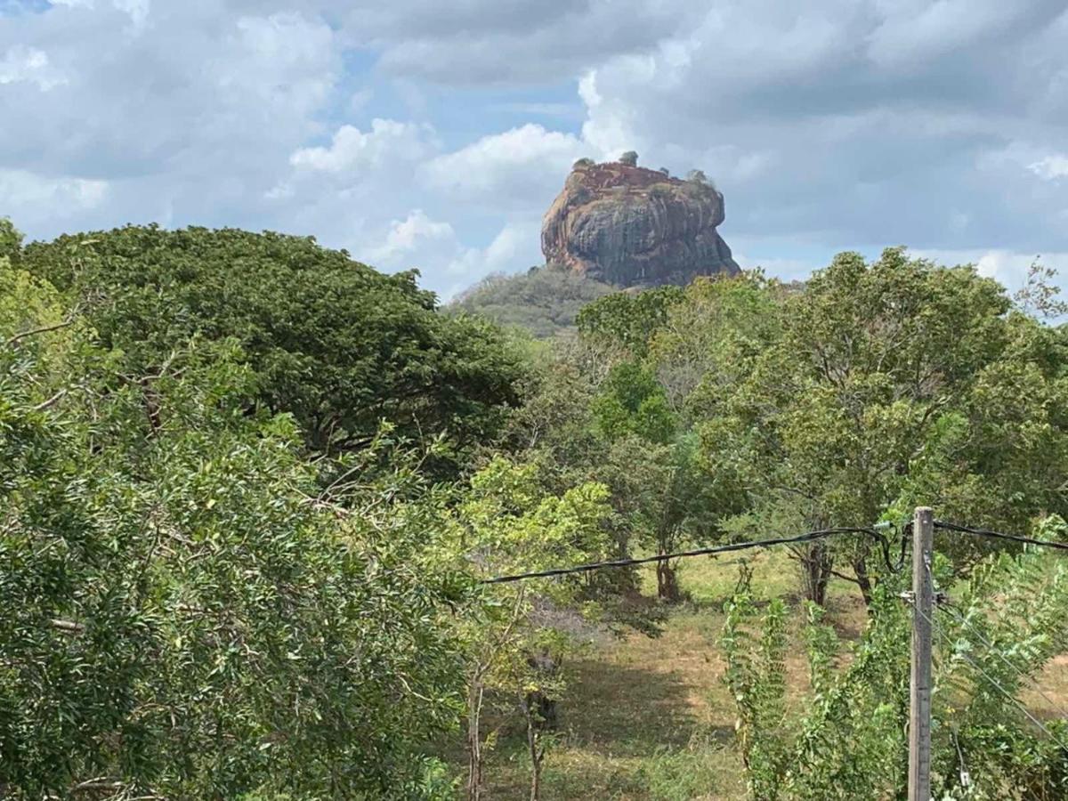 Hotel Sigiriya Rock Hide Extérieur photo