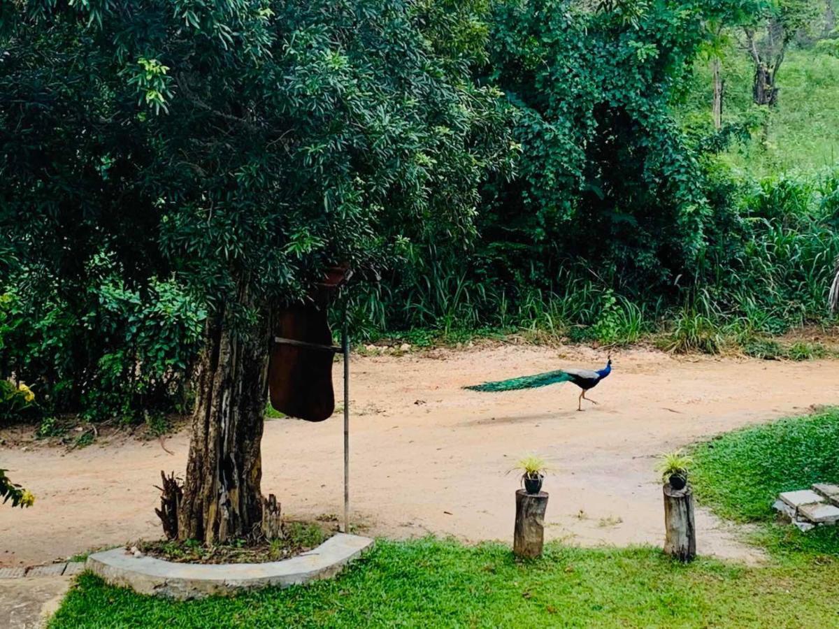 Hotel Sigiriya Rock Hide Extérieur photo