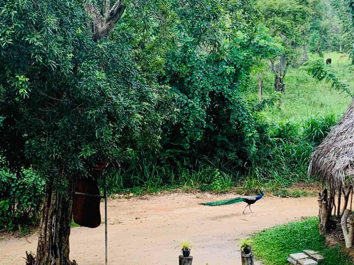 Hotel Sigiriya Rock Hide Extérieur photo